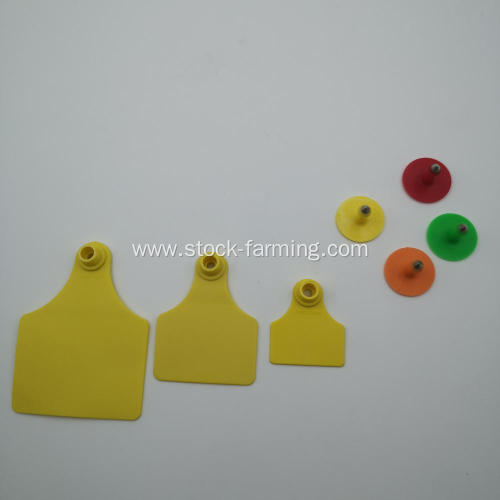 ear tag used in pig cattle ear tag definition